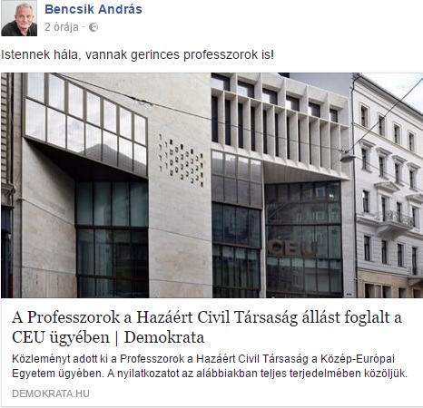 benccsik.jpg