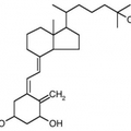 D vitamin - kalciferol, vioszterol, ergoszterol hatása a szervezetre: