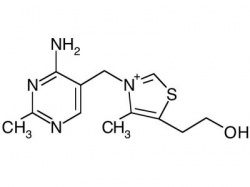 b1_vitamin_thiamin_250.jpg