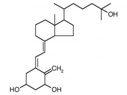 d_vitamin_kalciferol_vioszterol_ergoszterol_250.jpg