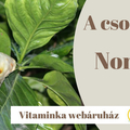 Noni a hatékony antioxidáns Organic Noni, Polinesian Noni