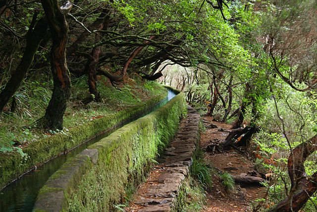 640px-levada_madeira.jpg