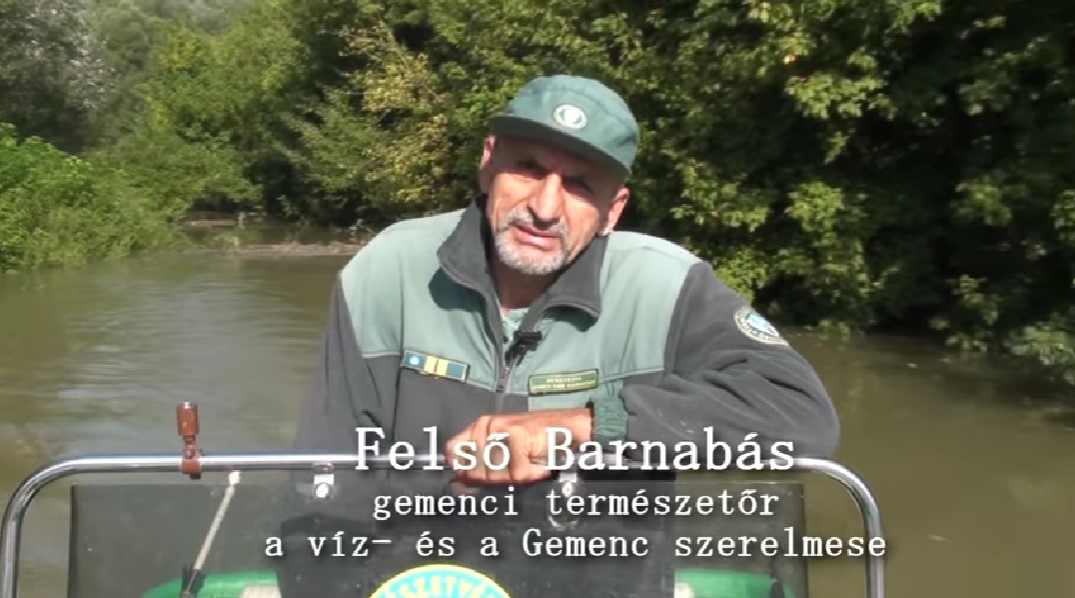 gemenc_felso_barnabas.jpg