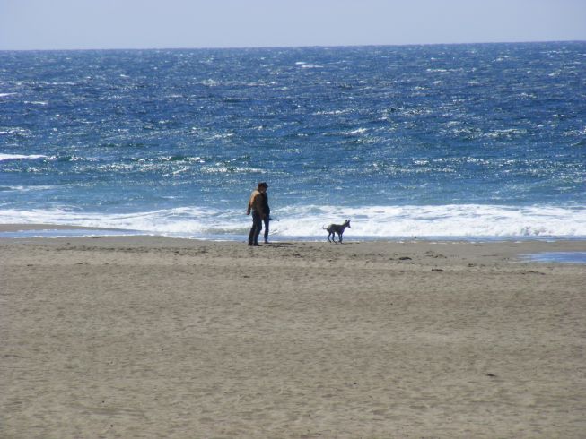 Sunset beach - a kutyaparadicsom.jpg