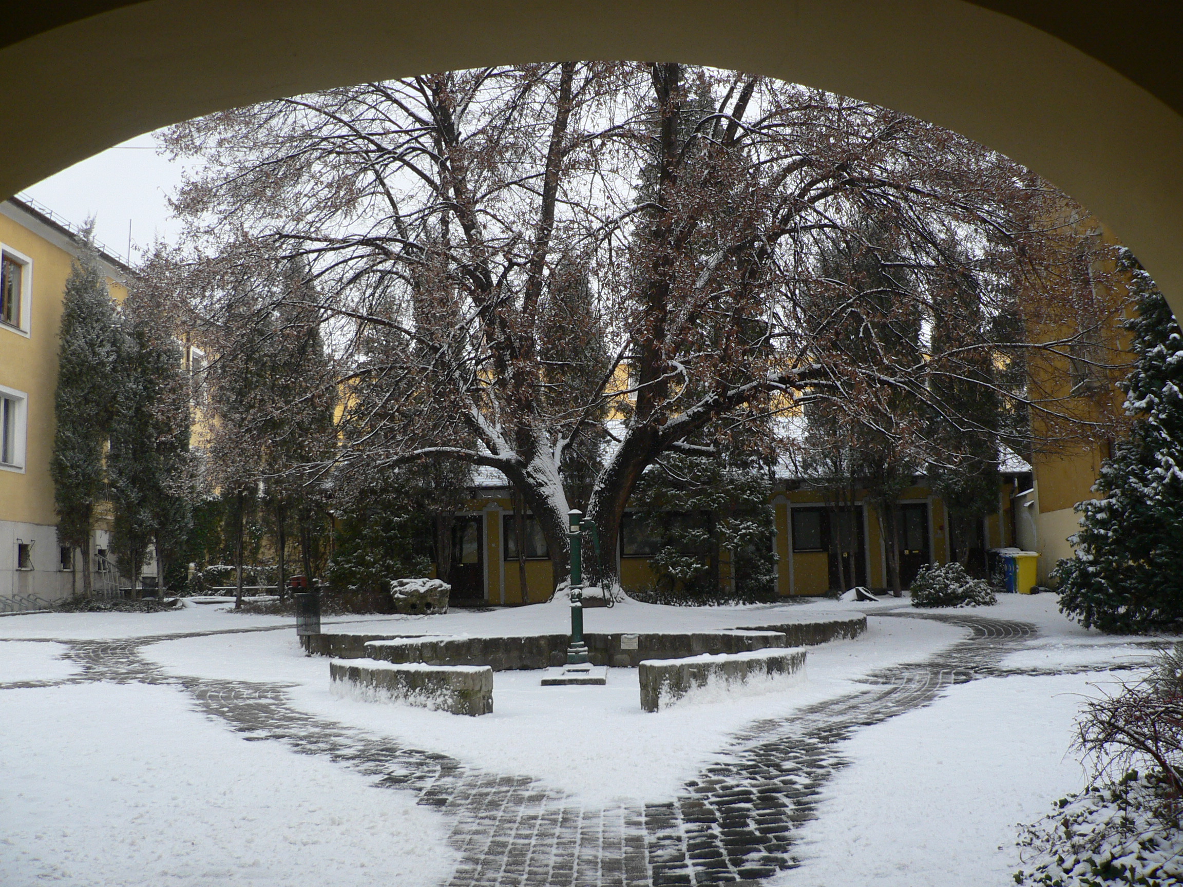 p1120804.jpg