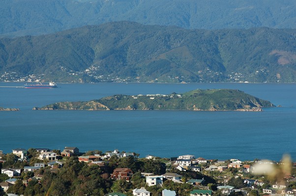 MatiuSomes_Island.JPG