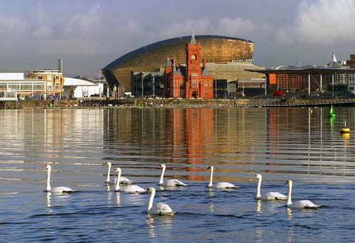 cardiff bay.jpg