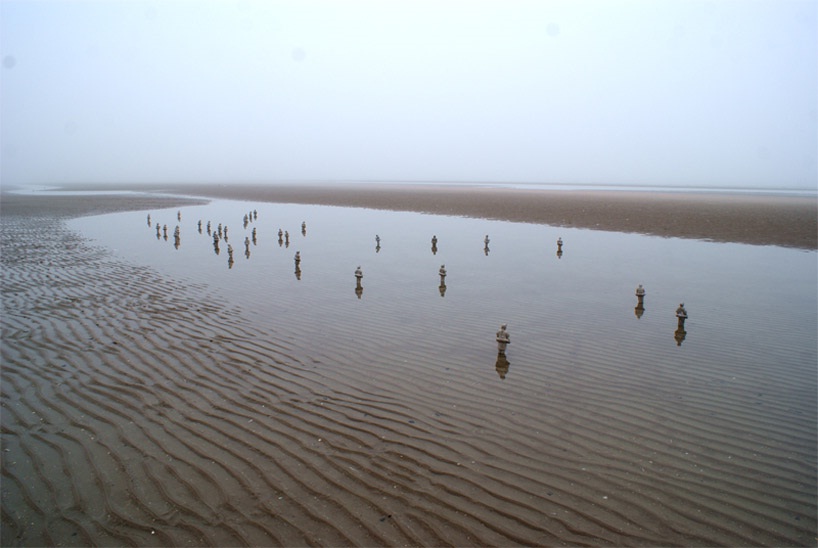 Isaac Cordal