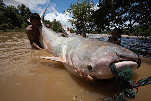 mekong2.jpg