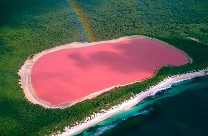 pink lake.jpg