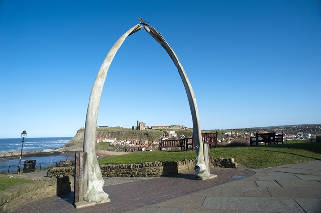 whitby4.jpg