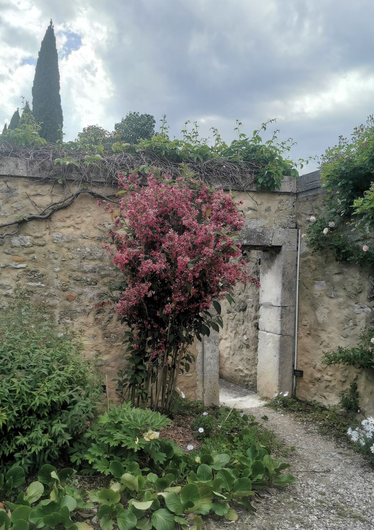 Ez pedig az átjáró a mondjuk angol (de annak kissé trópusi) parkból vissza a franciába.