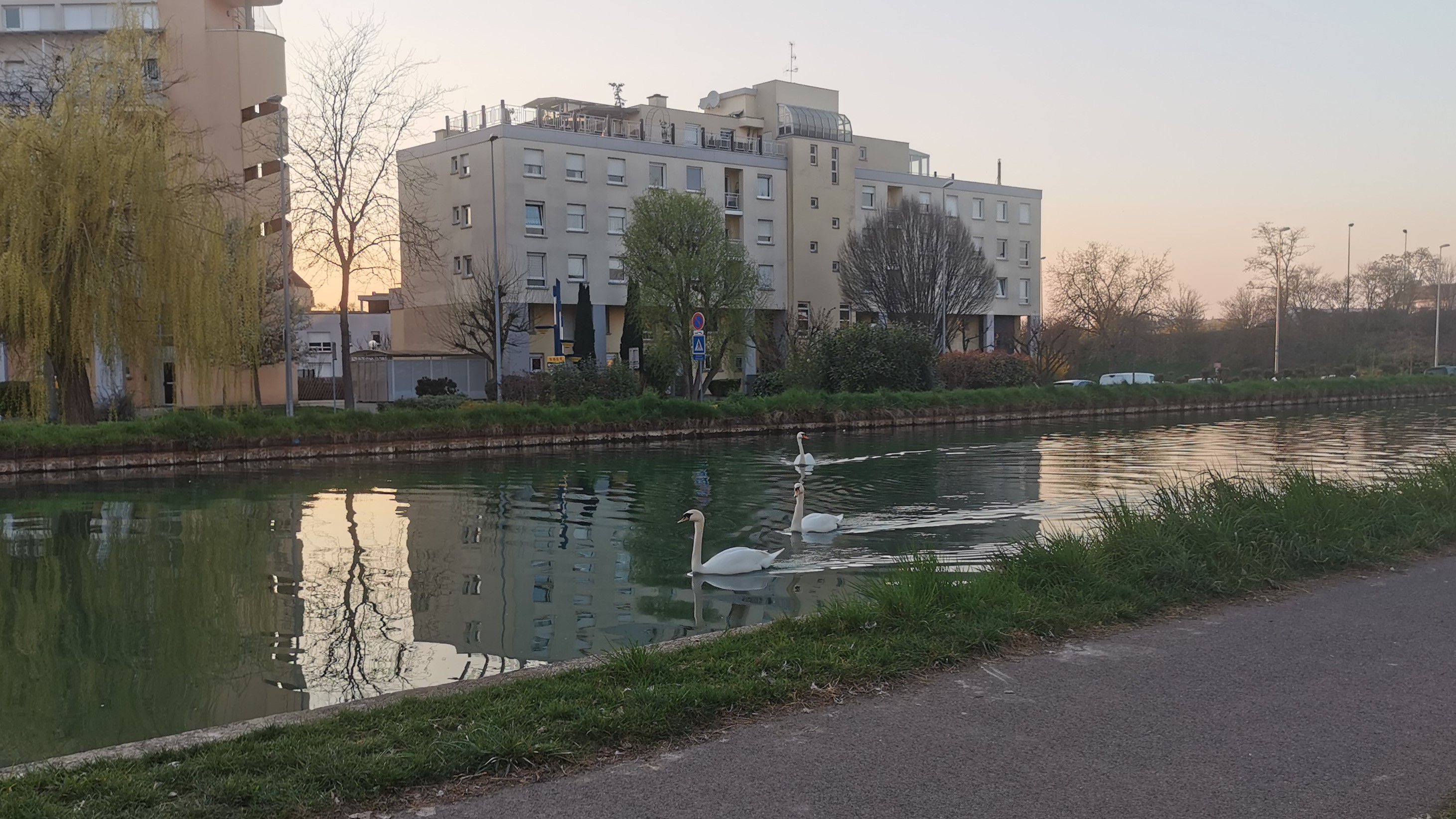 Ez akkor készült, amikor úgy döntöttem, hogy elég jó idő van, hogy munka után biciklivel menjek ki a Corába tejért. 