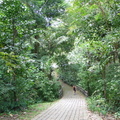 Bukit Batok Nature Park