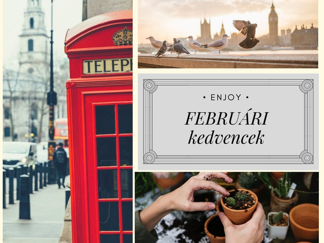 FEBRUÁRI kedvencek / tél