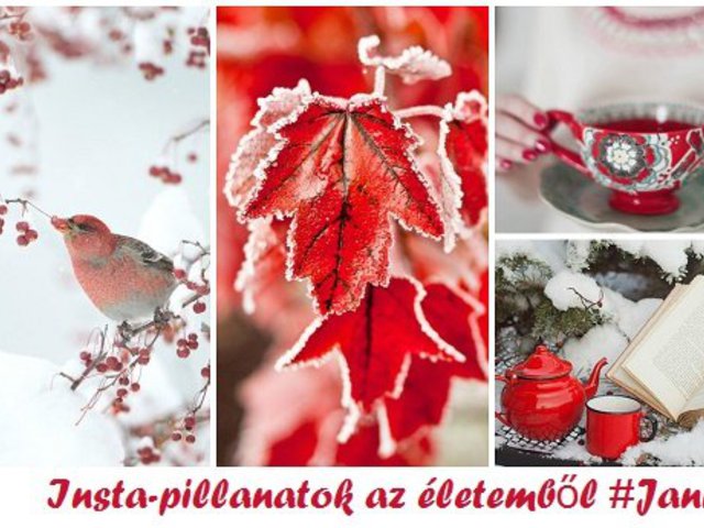 Insta-pillanatok az életemből // Január