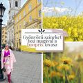Gyönyörű színeket hoz magával a #bonprix tavasz