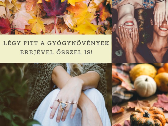 Légy fitt a gyógynövények erejével ősszel is!