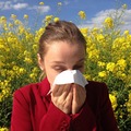 Így érdemes allergiaszezonban légtisztítót használni
