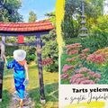 Őszi kiruccanás a titkos Japánkertbe