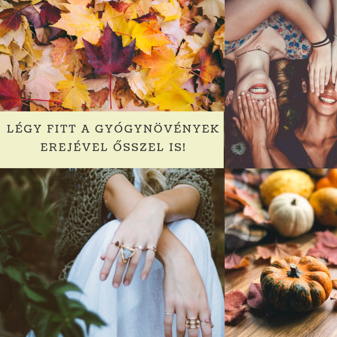 legy_fitt_a_gyogynovenyek_erejevel_osszel_is.png