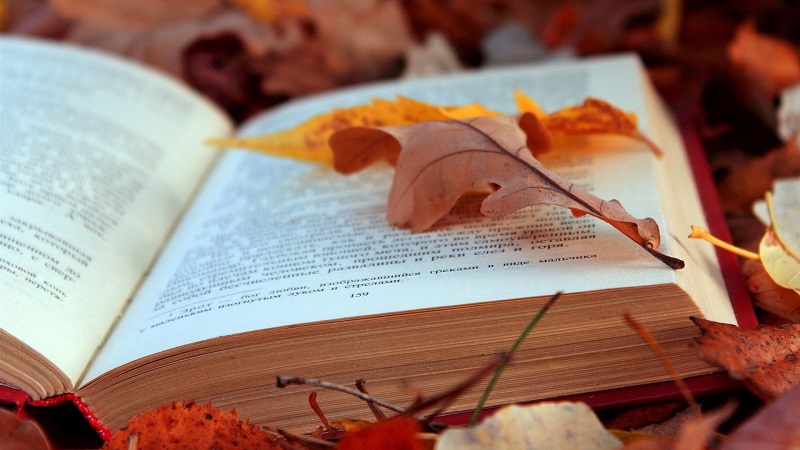 autumn-leaves-and-book.jpg