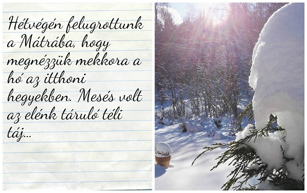 fotorcreated_271.jpg