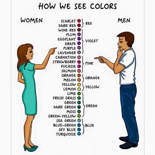 how-we-see-colors.jpg