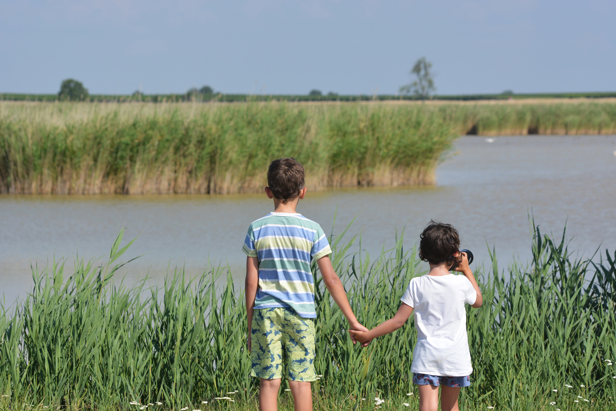 Családi nyaralás a Fertő-tónál