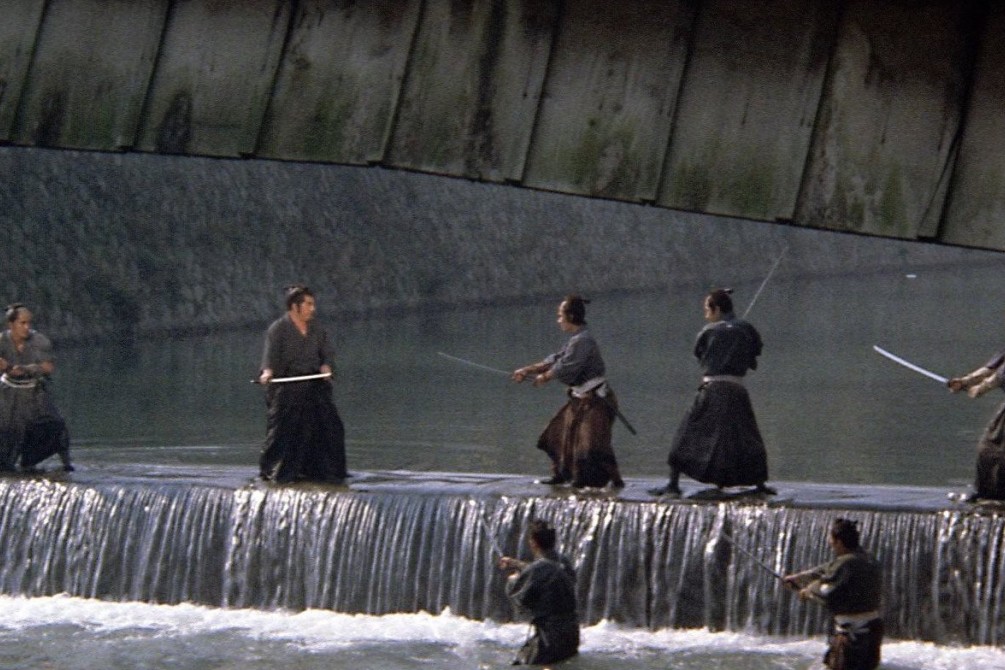 shogunassassin7.jpg