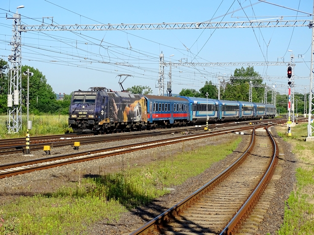 568.JPG
