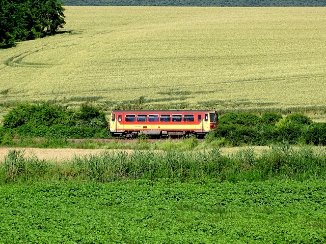 572.jpg