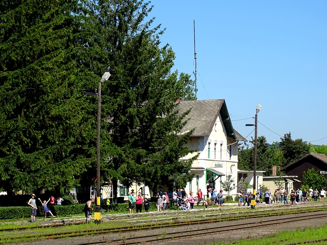 574.jpg