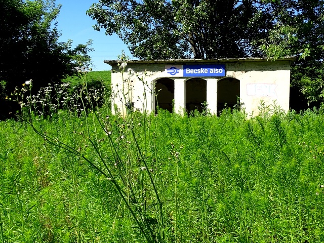 576.jpg