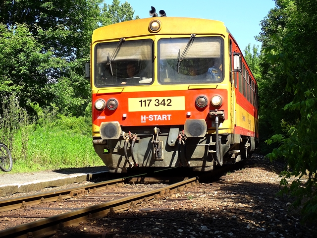 577.JPG
