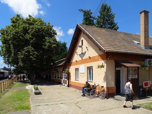 584.jpg