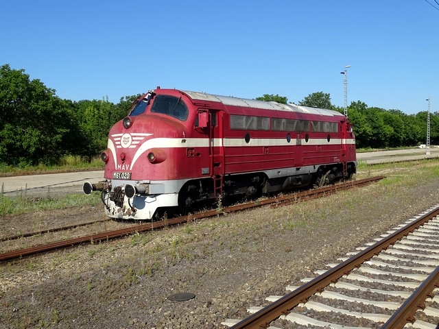 594.jpg