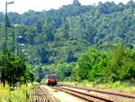 595.JPG