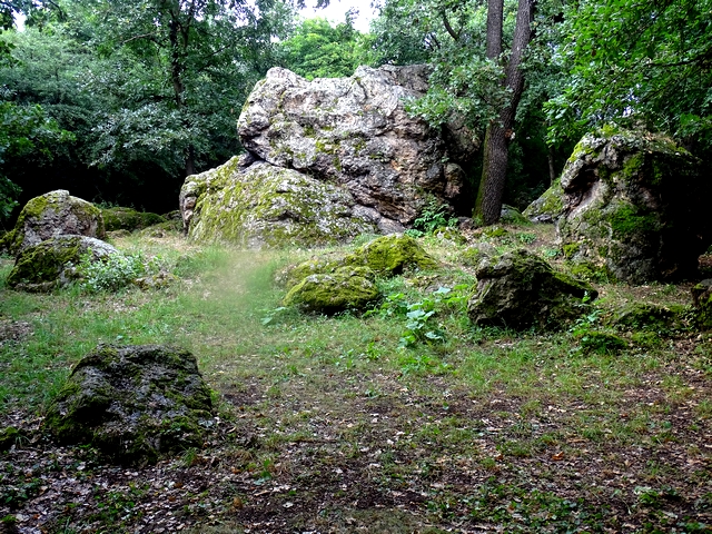 597.jpg