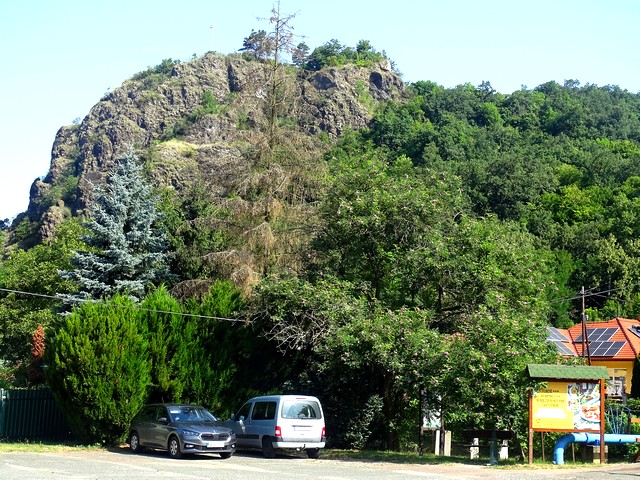 600.jpg