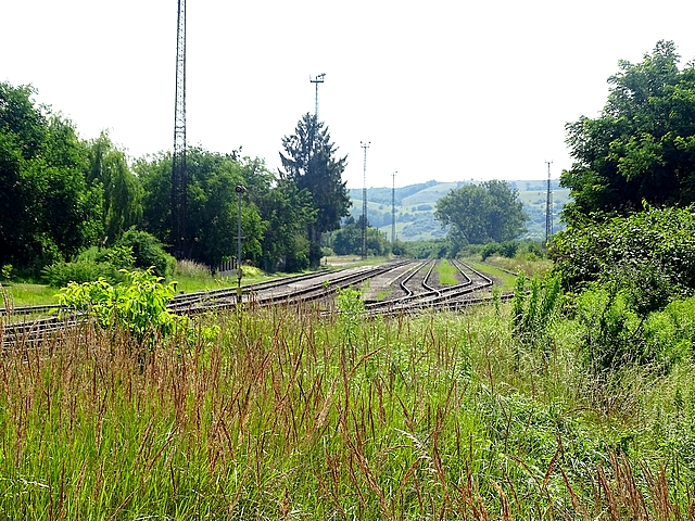 607.jpg