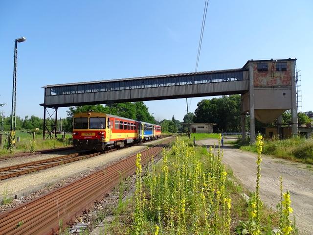 613.jpg