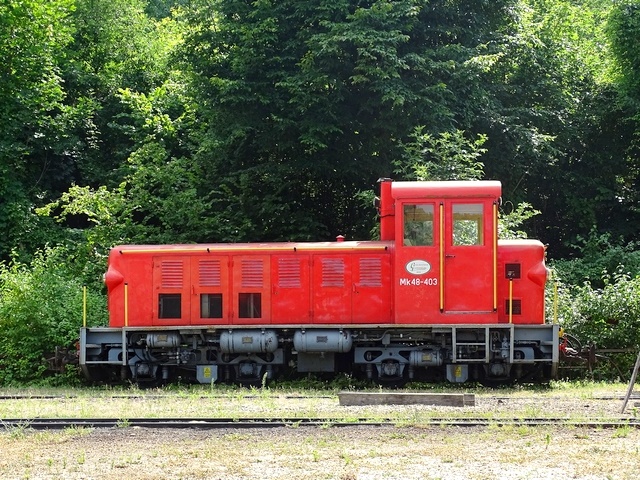 621.jpg