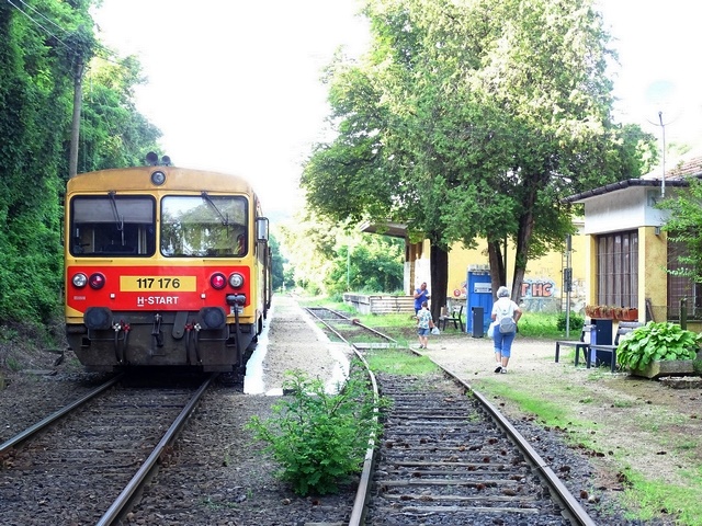 623.jpg