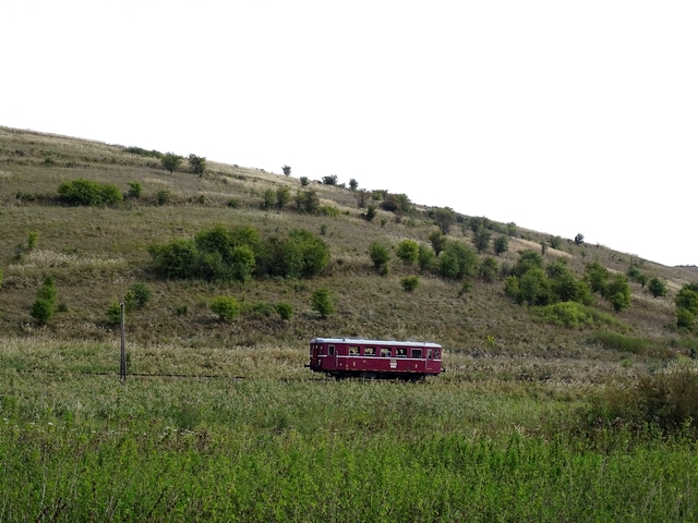 645.jpg