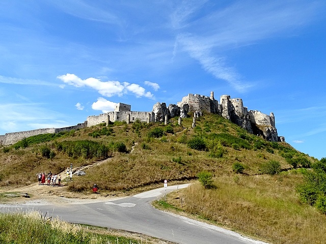 650.jpg