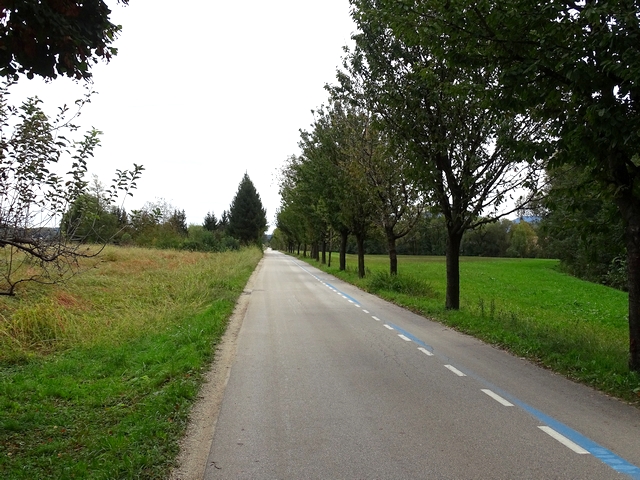670.jpg