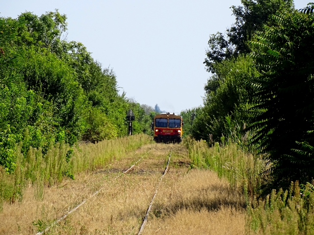 712.jpg