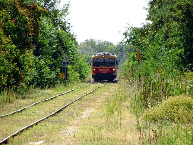 725.jpg