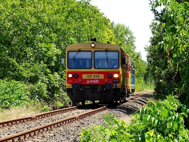730.jpg